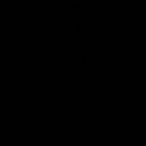 Meet your Posher, Darian